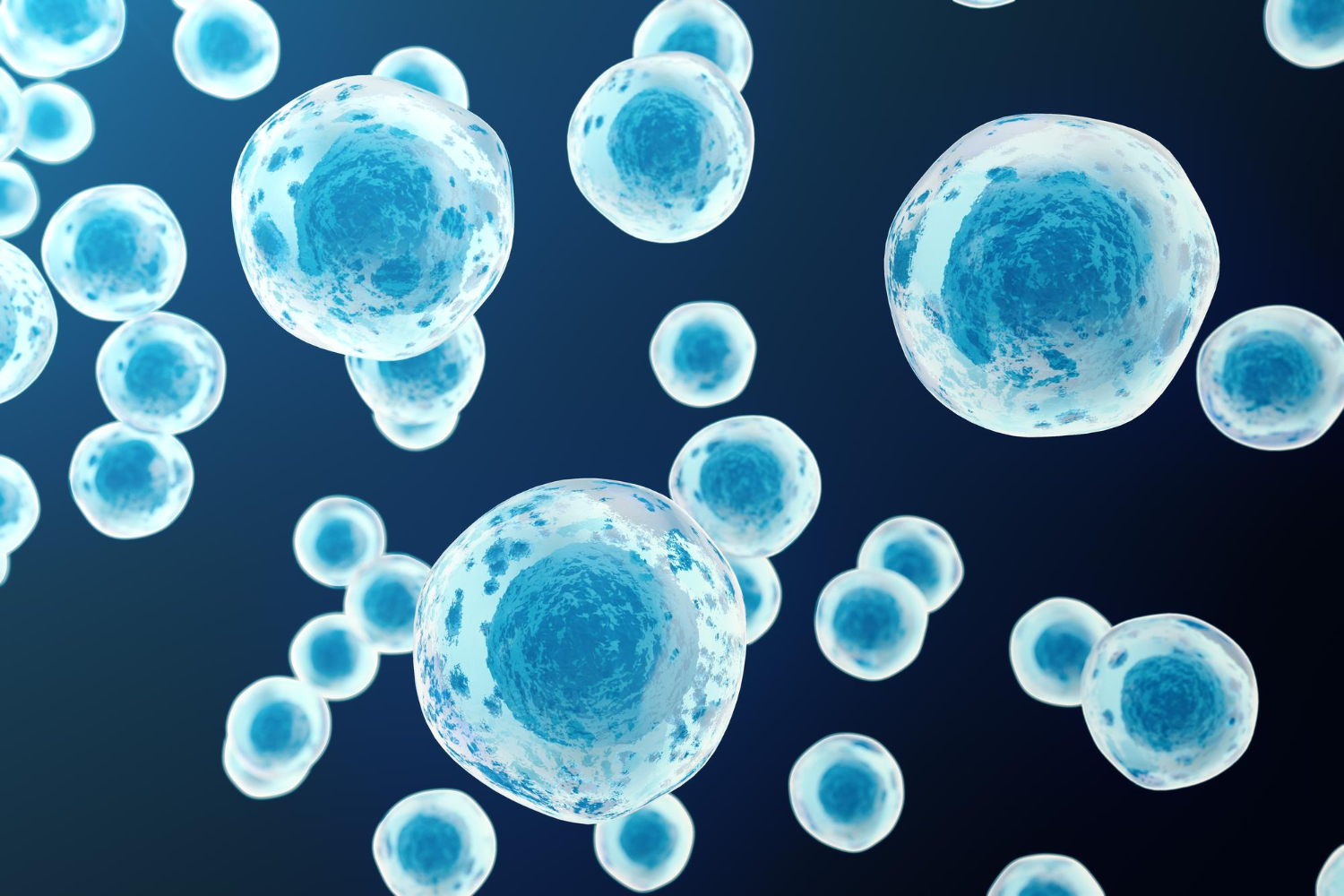 komórki macierzyste przedstawione na niebieskim tle 